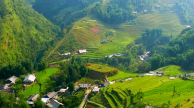 Yeşil pirinç terasları ve köyü olan vadi manzarası. Sapa, Vietnam, Haziran 2015. 4K çözünürlüğü