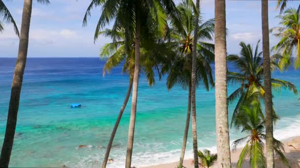 Vue sur la plage de l'île tropicale avec palmiers et eau turquoise. Résolution 4K 