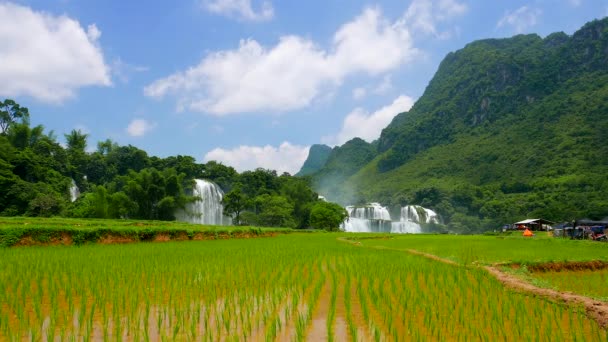 田んぼでGioc滝を禁止します。4K解像度が高速化。2015年5月。ベトナム — ストック動画