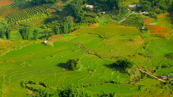 Θέα της κοιλάδας με πράσινες ταράτσες ρυζιού και γέφυρα. Sapa, Βιετνάμ, ψήφισμα 4K — Αρχείο Βίντεο