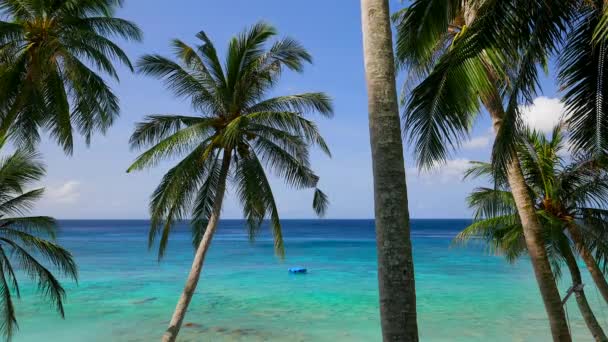 Вид на пляж с пальмами и бирюзовой водой. Разрешение 4K — стоковое видео
