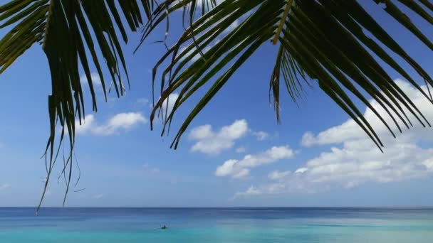 Vue sur la plage de l'île tropicale avec feuilles de palmier et bateau. Résolution 4K — Video