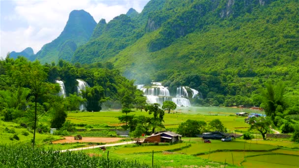Zakaz Gioc wodospad w bujnej zielonej dolinie z pól ryżowych. Rozdzielczość 4K. Wietnam — Wideo stockowe