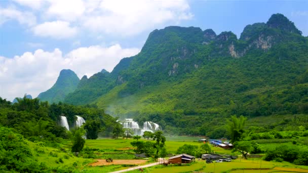 Gioc Şelalesi 'ni pirinç tarlaları olan yemyeşil bir vadide yasaklayın. 4K çözünürlük hızı. Vietnam — Stok video