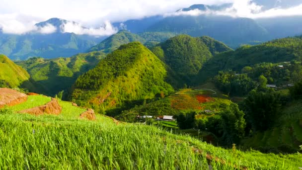 Θέα της κοιλάδας με πράσινες ταράτσες ρυζιού, βουνά και σύννεφα. Sapa, Βιετνάμ, 4K επιτάχυνση ανάλυσης — Αρχείο Βίντεο