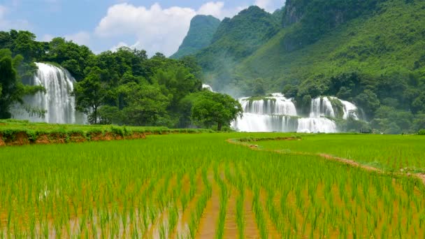 Ban Gioc Cascada cu câmp de orez. Rezoluţie 4K. Vietnam — Videoclip de stoc