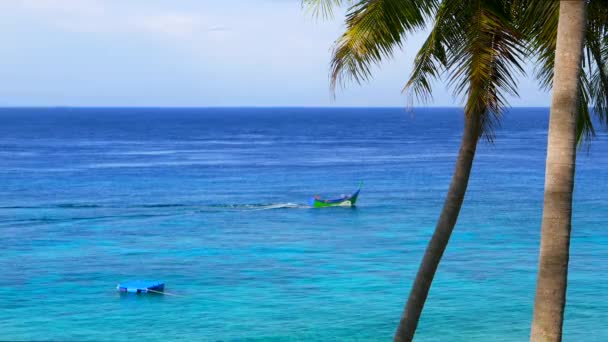 Île tropicale vue mer avec palmiers et bateau traditionnel. Résolution 4K . — Video