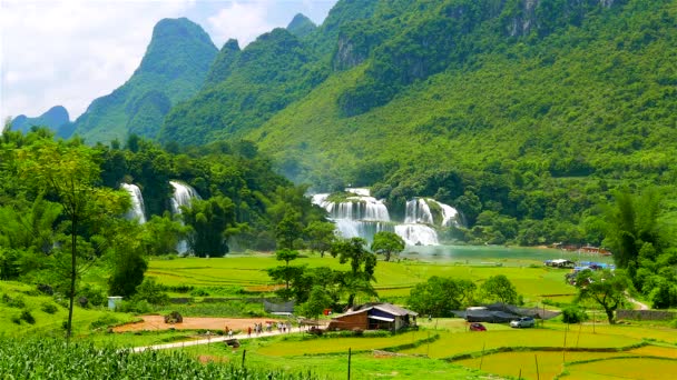 Zakaz Gioc wodospad w bujnej zielonej dolinie z pól ryżowych i turystów. Rozdzielczość 4K przyspieszona. Wietnam, maj 2015. — Wideo stockowe