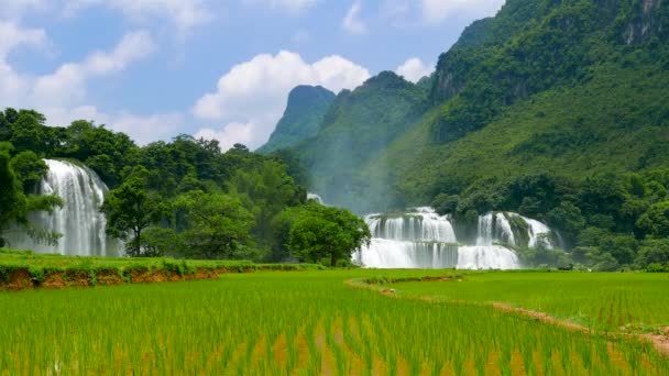 Водопад Пан Гиок с рисовым полем. 4К разрешение ускоряется. Вьетнам — стоковое видео