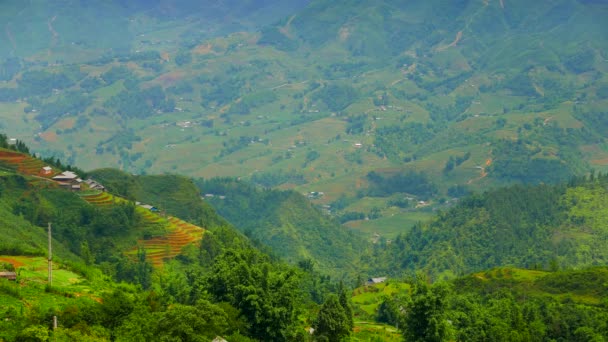 Yeşil pirinç teraslı vadi manzarası. Sapa, Vietnam. 4K çözünürlüğü — Stok video