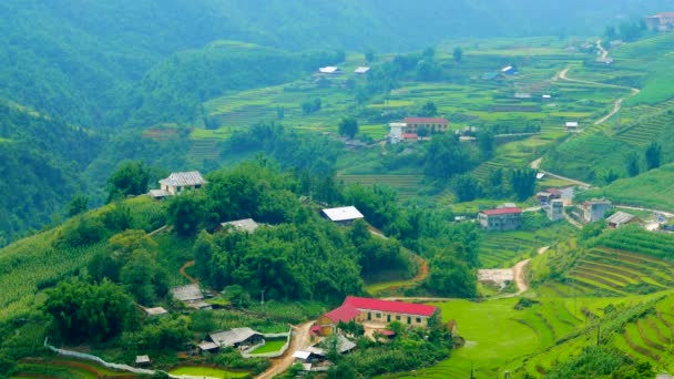 Vista sulla valle con terrazze di riso verde e villaggio. Sapa, Vietnam, risoluzione 4K — Video Stock