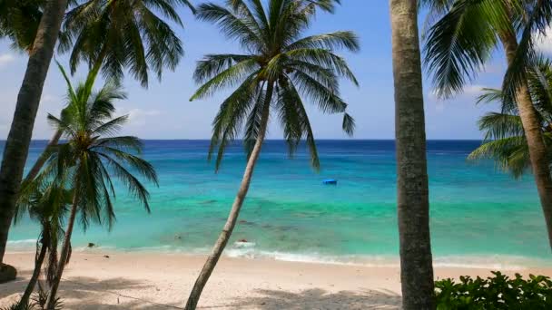 Vue sur la plage de l'île tropicale avec palmiers et eau turquoise. Résolution 4K 