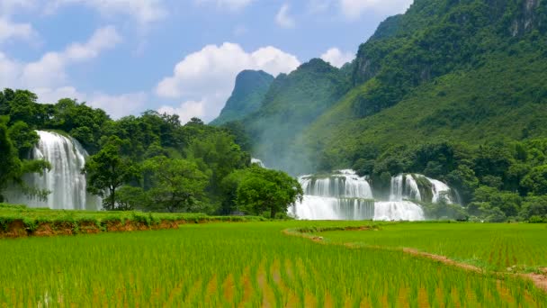 Zakažte Giocův vodopád s rýžovým polem. Rozlišení 4K zrychluje. Vietnam — Stock video