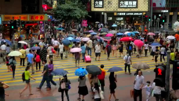 HONG KONG - Az esernyős emberek átkelnek az utcán a belvárosban esős időben. 4K felbontás — Stock videók