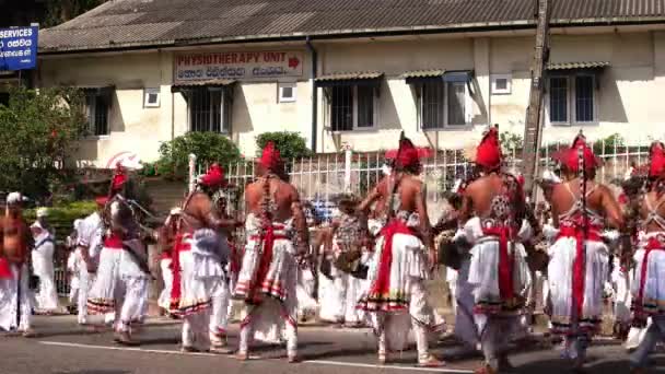 Kandy - Ocak 2016: Festivalde insanlar sokaklarda dans ediyor. — Stok video