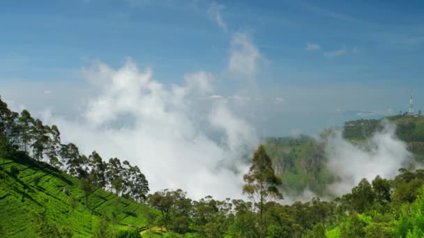 Sri Lanka - Blick vom Lipton 's Seat auf das Tal mit aufsteigenden Wolken. 4K-Auflösung. — Stockvideo