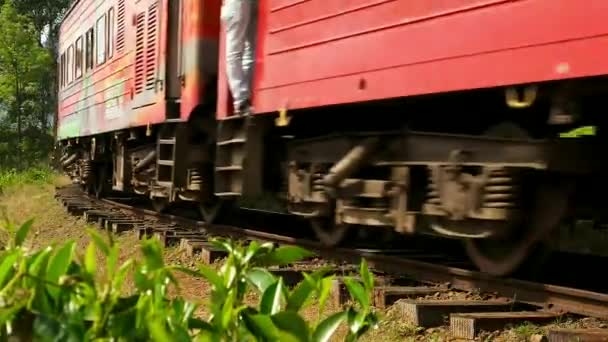 Шри-Ланка - Поезд проходит через чайные плантации. Увеличь. — стоковое видео