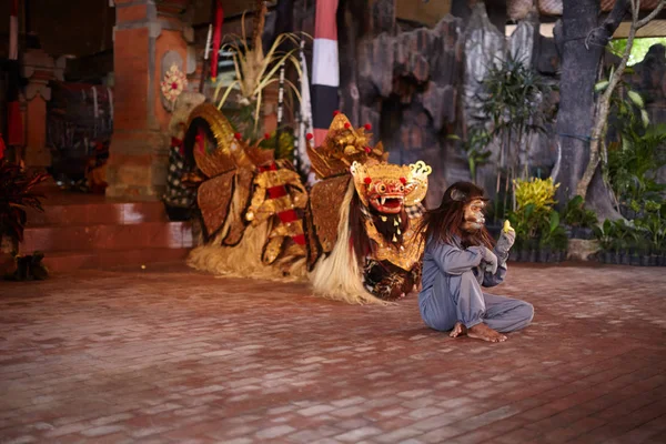 Barong ve maymun dans. Tiyatro Bali Adası. Bali Adası yolculuk. Barong ruhu. 