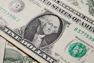 Dolar Banknot'ta Washington Portresi