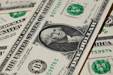 Dolar Banknot'ta Washington Portresi