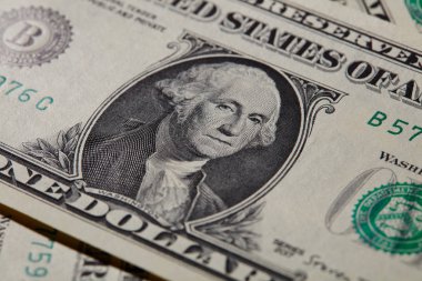 Dolar Banknot'ta Washington Portresi
