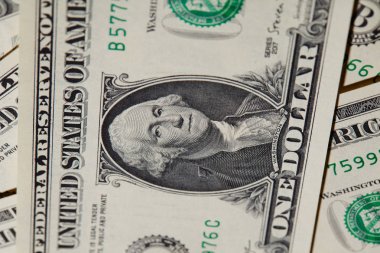 Dolar Banknot'ta Washington Portresi