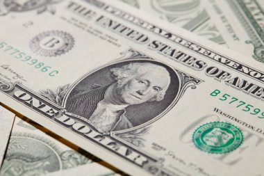 Dolar Banknot'ta Washington Portresi