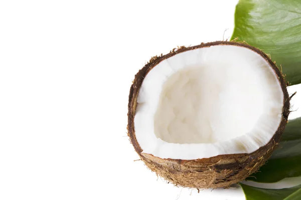 Naturalne Kokos Białym Tle Tle — Zdjęcie stockowe