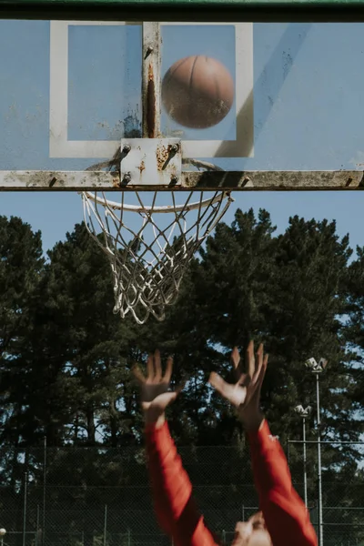 농구와 — 스톡 사진