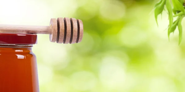 Naturlig Honung Naturen Grön Bakgrund — Stockfoto