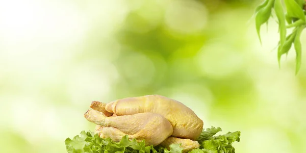 Rohes Huhn Mit Natürlichem Hintergrund — Stockfoto