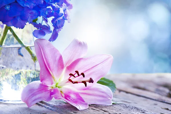 Schnittblume Auf Altem Holz Und Blumenvase Mit Natürlichem Hintergrund — Stockfoto