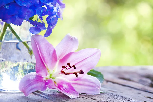 Schnittblume Auf Altem Holz Und Blumenvase Mit Natürlichem Hintergrund — Stockfoto