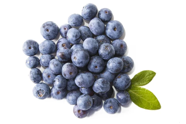 Natural Blueberries Isolated White Background — Stock Photo, Image
