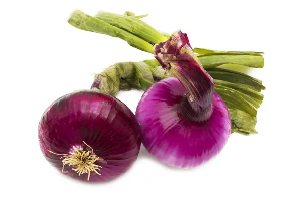 Onions Isolated White Background — Stock Photo, Image