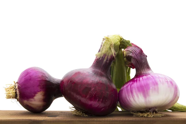 Zwiebeln Isoliert Weißem Hintergrund — Stockfoto