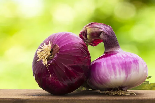 Onions Natural Background — Stock Photo, Image