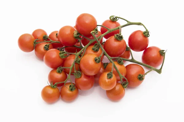 Tomates Naturales Rama Aislados Fondo Blanco —  Fotos de Stock