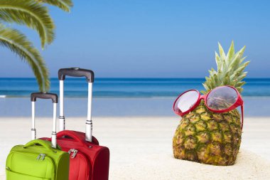 ananas yaz manzara plaj güneş gözlüklü