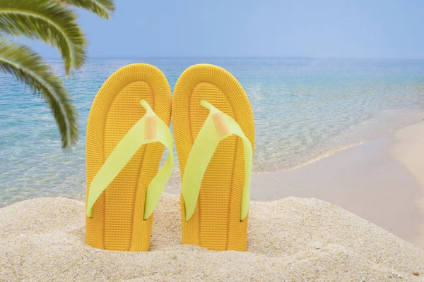 Paisaje Con Sandalias Playa Viajes Vacaciones Verano —  Fotos de Stock
