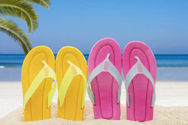Sandalen Het Strand Vakantie Zomer Concept — Stockfoto