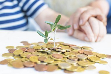 Emekliler eller büyüyen bitki, tasarruf ve emeklilik ile para ile