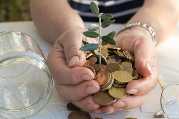 Farfars Händer Med Besparingar Och Växt Växa — Stockfoto