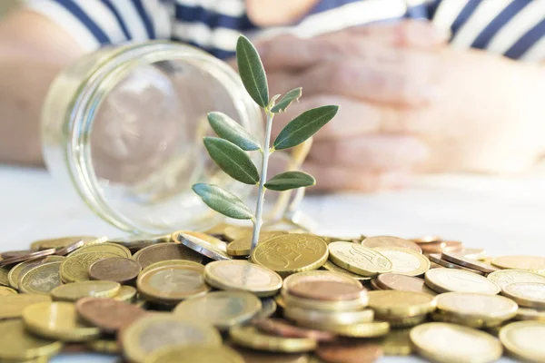 Geld Gestapeld Met Jonge Plant Handen Van Senior Gepensioneerde Ouderen — Stockfoto