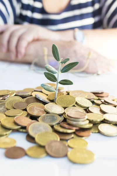 Dinero Apilado Con Plantas Jóvenes Manos Jubilados Mayores Ancianos Concepto —  Fotos de Stock