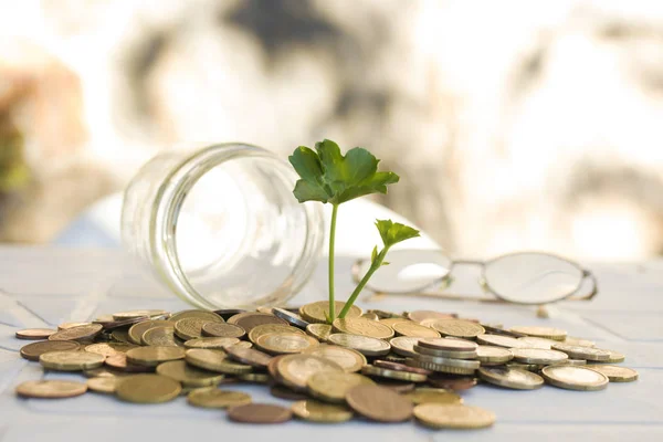 Monedas Apiladas Con Crecimiento Plantas Jóvenes Concepto Ahorro — Foto de Stock