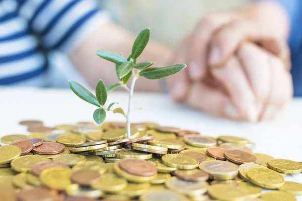 Pensionärernas Händer Med Pengar Växer Med Växt Sparande Och Pension — Stockfoto