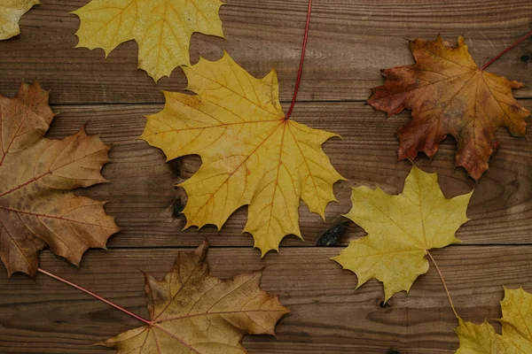 Herfstbladeren Achtergrond Rustieke Hout — Stockfoto