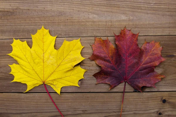 Herbst Blätter Hintergrund Auf Rustikalem Holz — Stockfoto