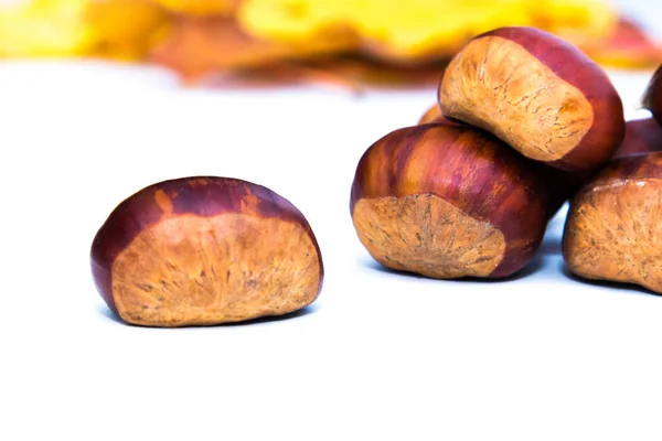 Castanhas Naturais Isoladas Branco — Fotografia de Stock